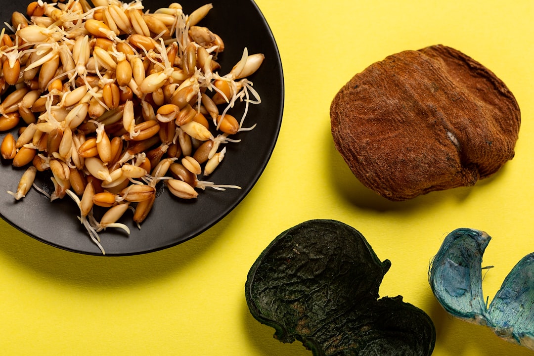 Calorias da coxinha: frita vs assada e versões mais leves